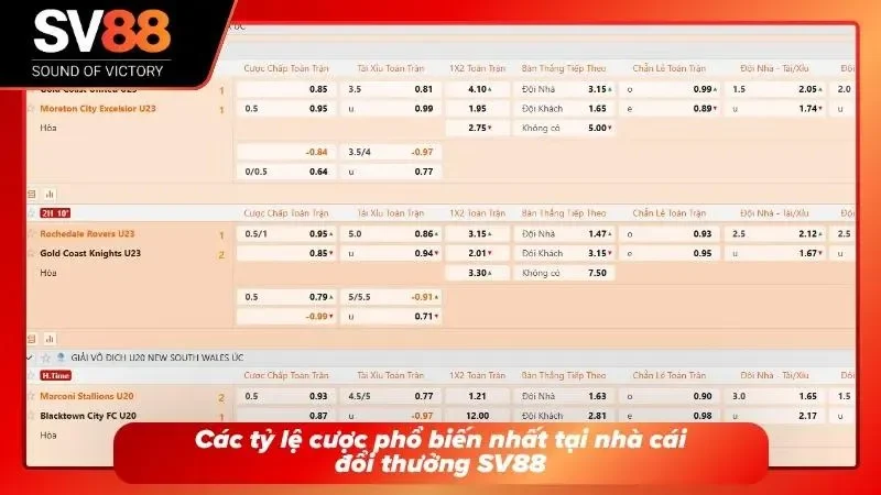 4 tỷ lệ Odds được nhiều hội viên lựa chọn