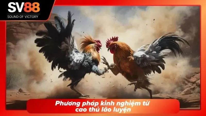 Cao thủ lâu năm hướng dẫn người chơi thông qua kênh chat