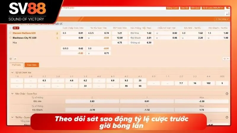 Theo dõi động tỉnh tỷ lệ cược trước giờ lăn bóng