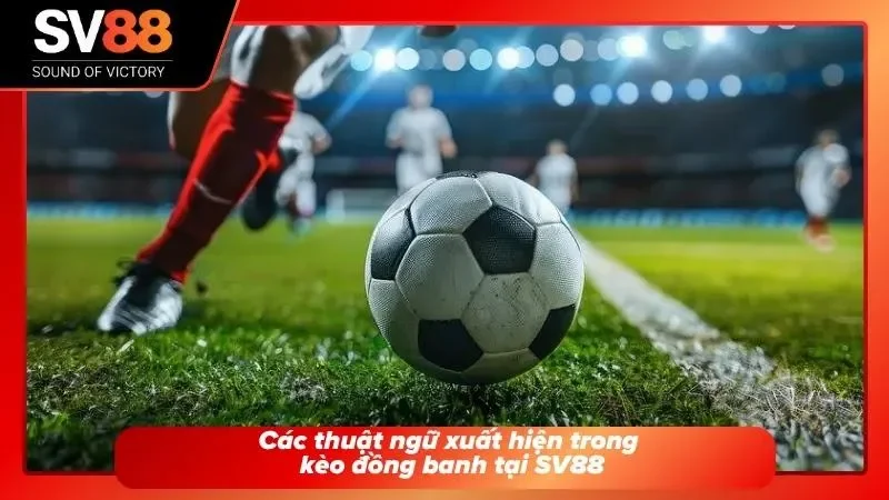 Thuật ngữ trong Handicap 0